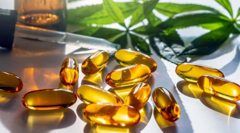 Focus sur les gelules de cannabidiol.